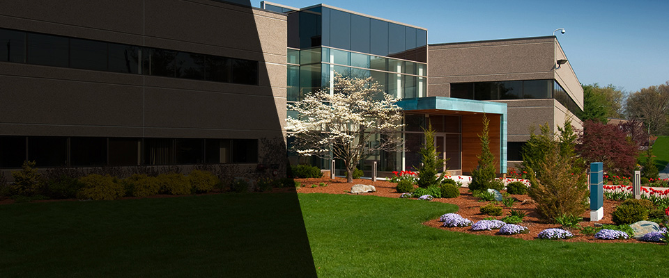 Pacific Junction Landscapers