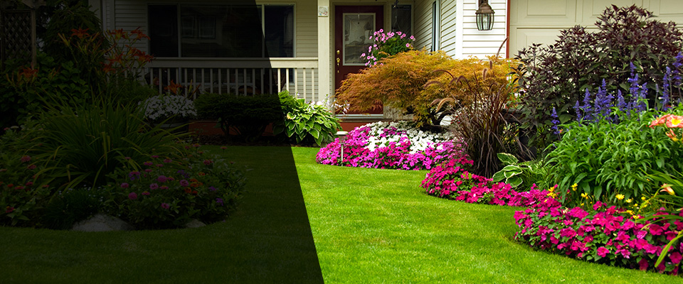 Pacific Junction Landscapers
