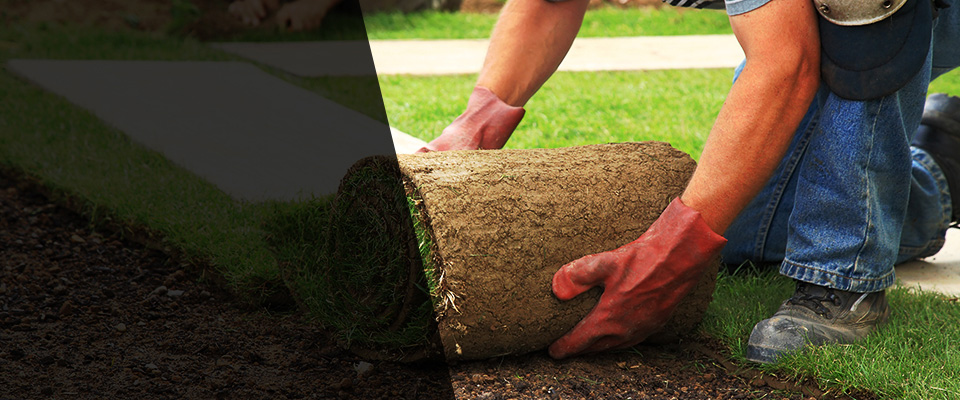 Pacific Junction Landscapers